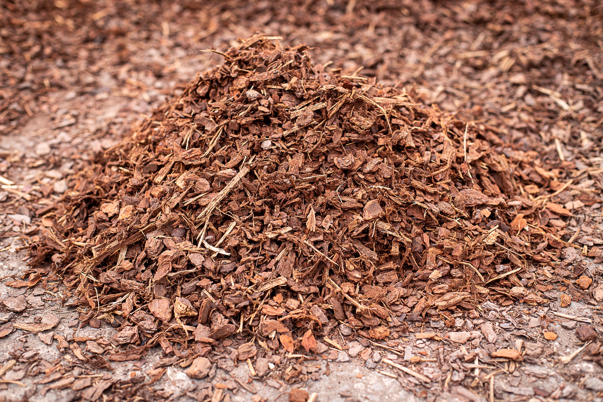 Mulch & Bark