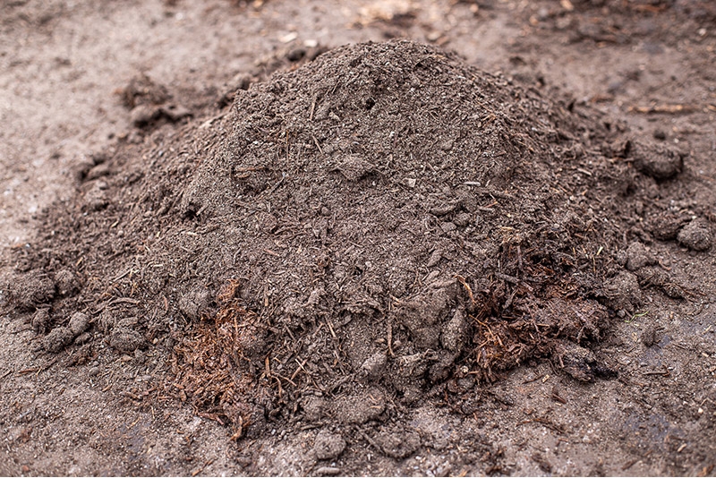 Soil