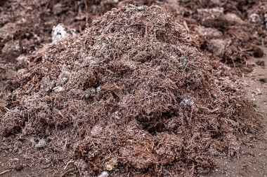 Mushroom Compost
