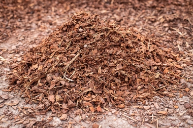 7mm Pine Bark