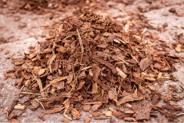 20mm Pine Bark