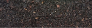Superfine Pine Bark