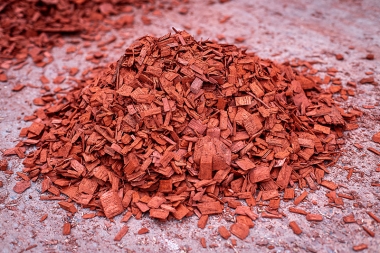 Red Colour Pine Chips