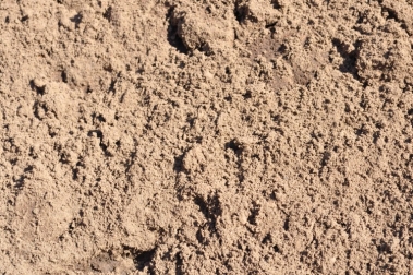 Horse Track Sand